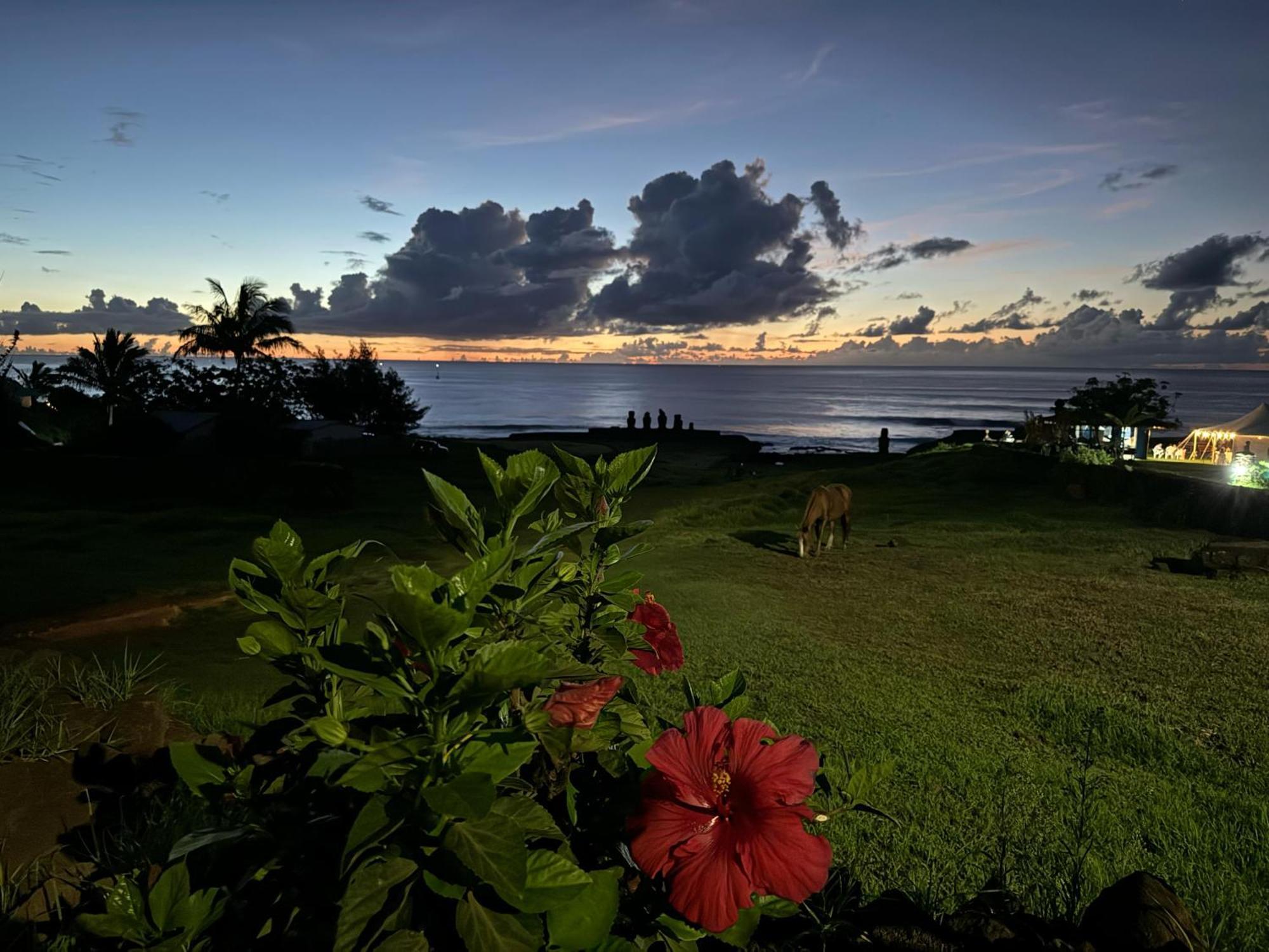 Cabanas Tangaroa Y Hamea Villa Ханга Роа Екстериор снимка